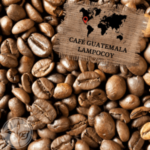 CAFE GUATEMALA LAMPOCOY