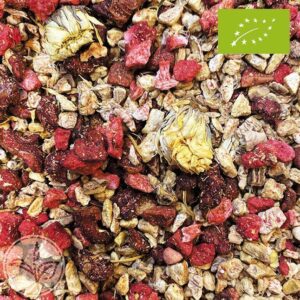 INFUSION JENGIBRE FRESA ECO