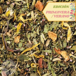 INF REINA DE LOS RADOS