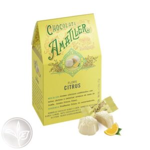 FLORES CHOCOLATE CITRUS